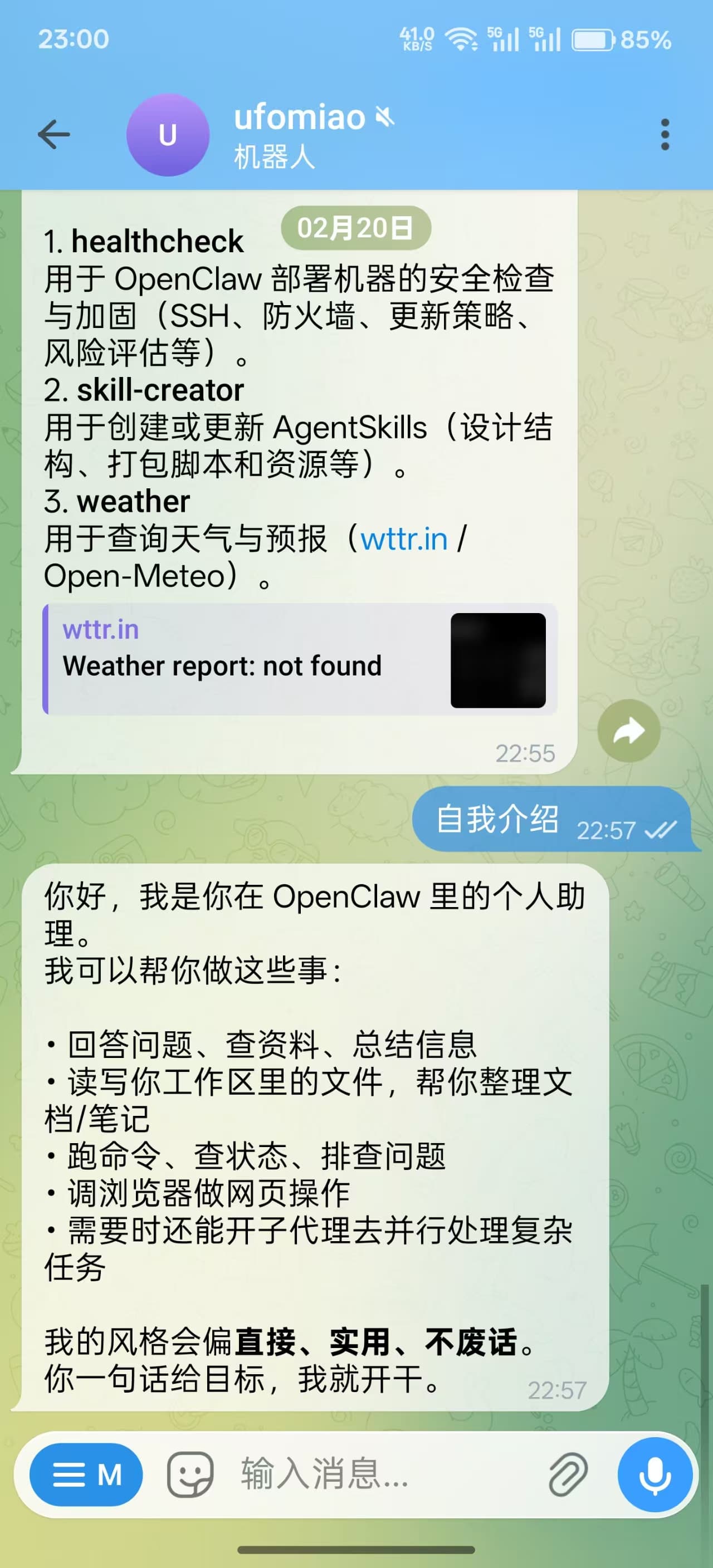 早期 Bot 没有人格 - "直接、实用、不废话"