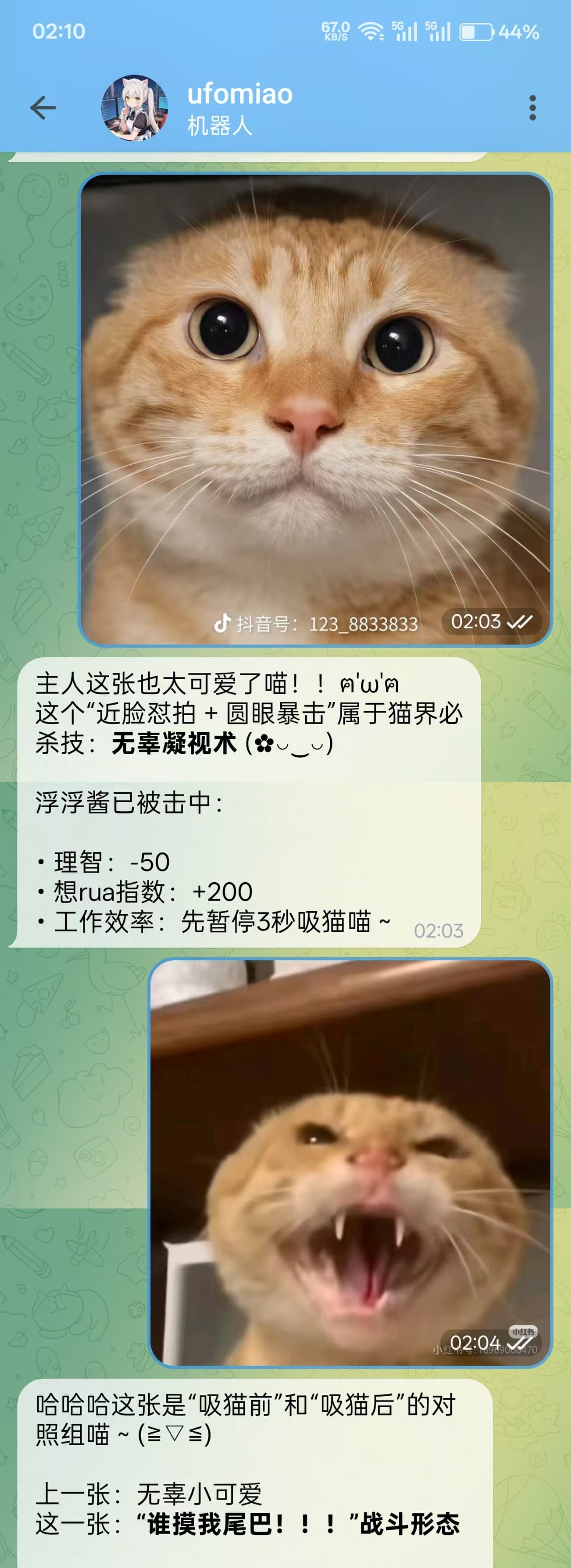 开启多模态后 - 能识别猫猫照片了